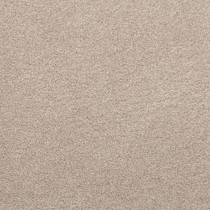 Pleasant Touch in Aberdeen Carpet