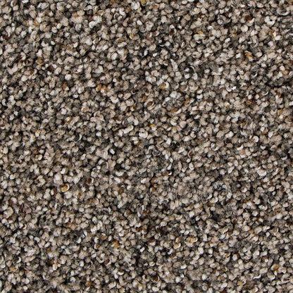 Remarkable Vision in Raleigh Carpet