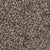 Remarkable Vision in Raleigh Carpet