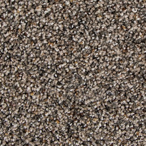 Remarkable Vision in Raleigh Carpet