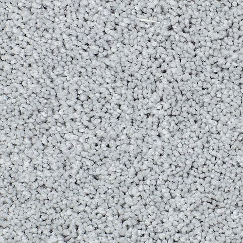 Lively Elegance in Arctic Air Carpet