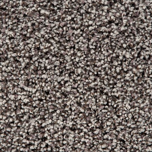 Soft Accolade I in Flannel Carpet
