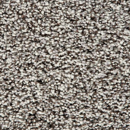 Soft Accolade II in Morning Mist Carpet