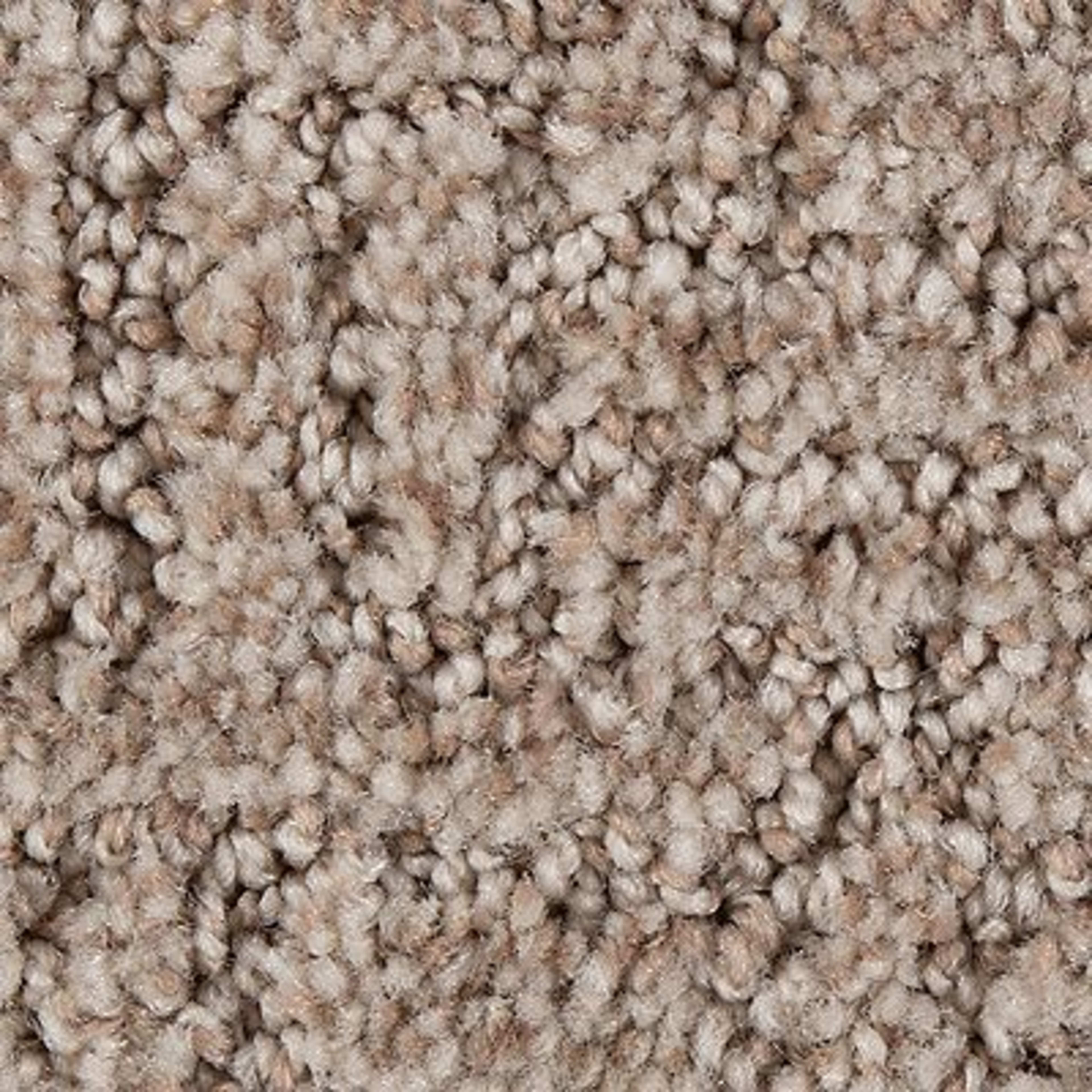 Wolf Moon in Exquisite Carpet