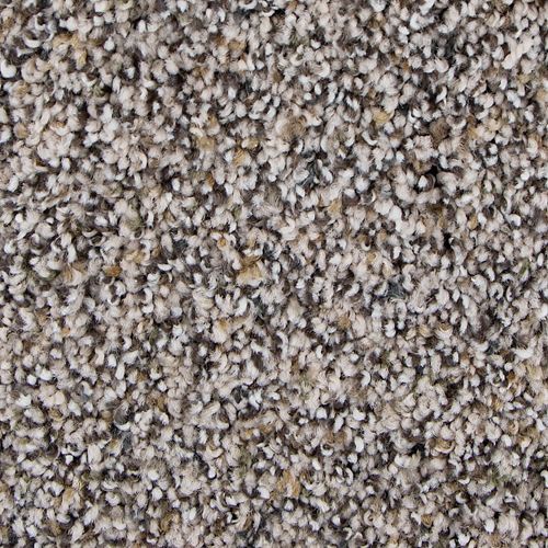 Unique Direction in Frosted Almond Carpet