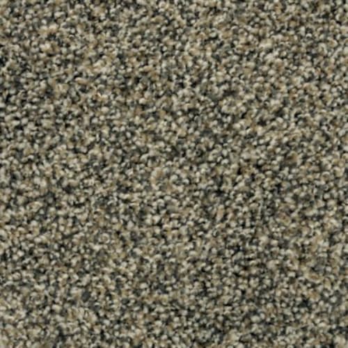 Charismatic Appeal in Surrey Carpet