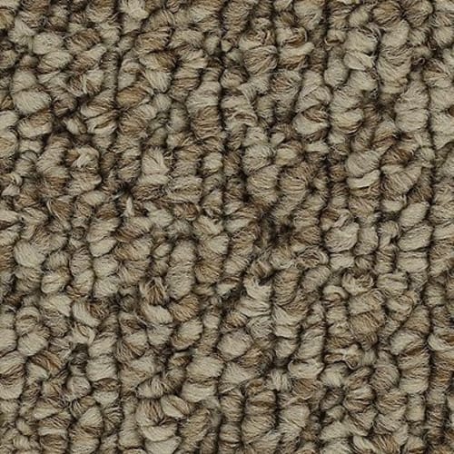 Cozy Classic in Ancient Treasure Carpet