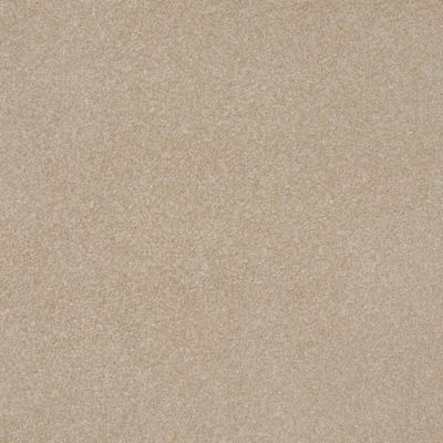 Mohawk Refreshing Shades Carpet Flooring