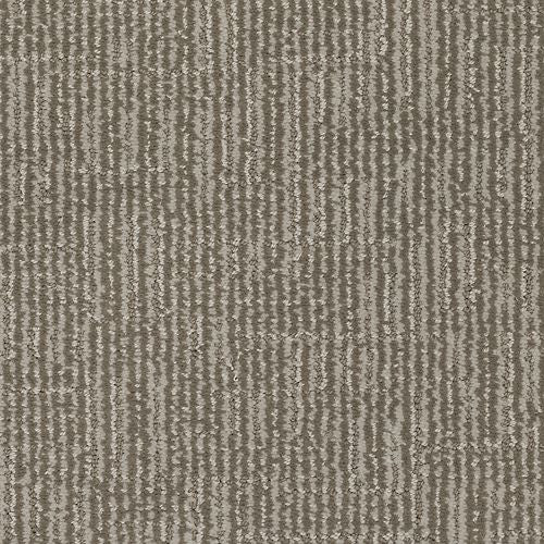 Majestic Refinement in Academy Carpet