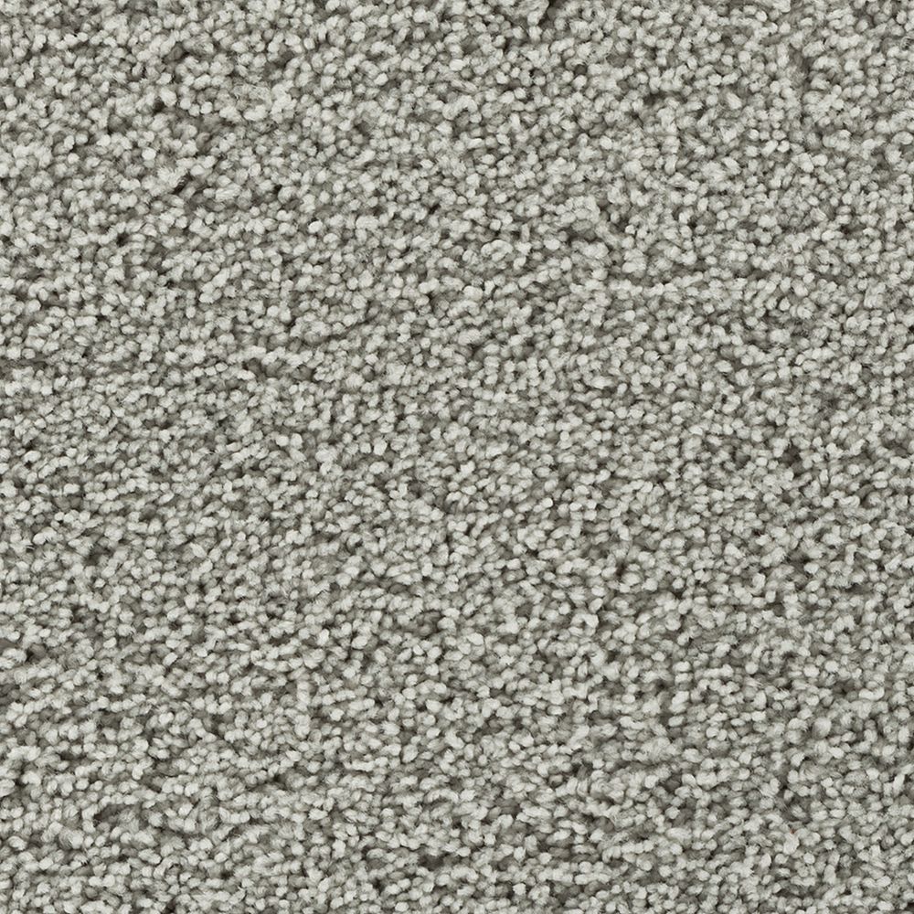 Mohawk Gentle Path Carpet Flooring