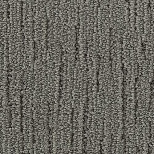 Charming Approach in Silence Carpet