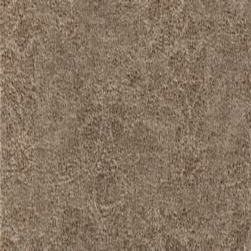 Delicate Harmony in Optimism Carpet