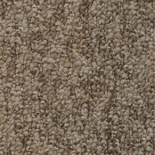 Pristine Sensation in Kodiak Carpet