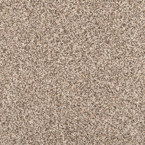 Color Classics II in Melody Carpet