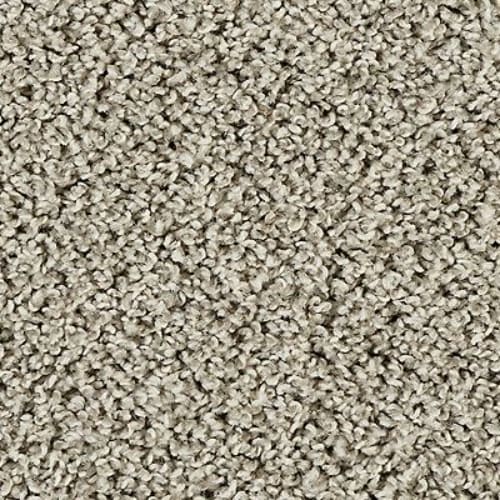 Sleek Tones in Cumulus Carpet