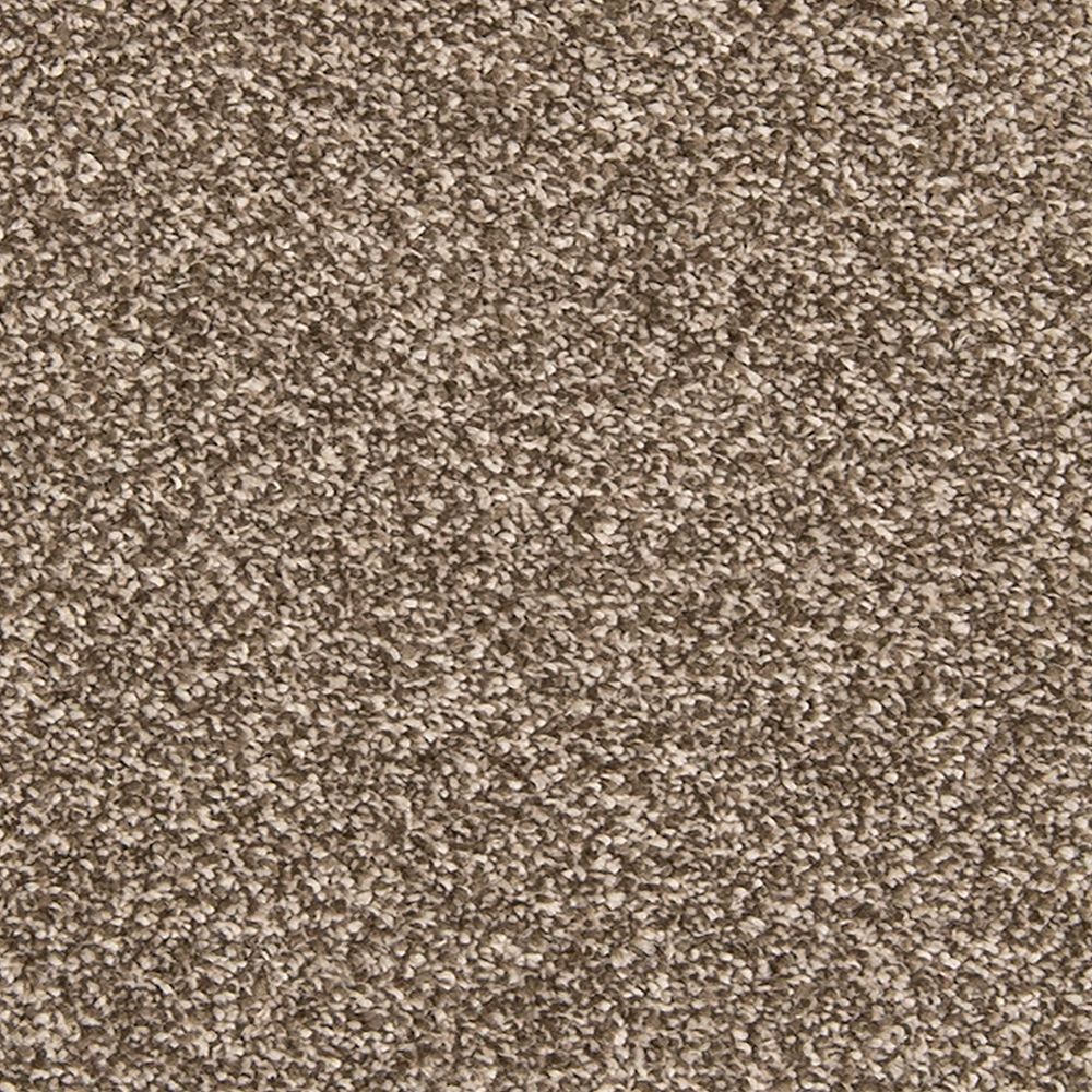 Mohawk Dynamic Quality I Carpet Flooring