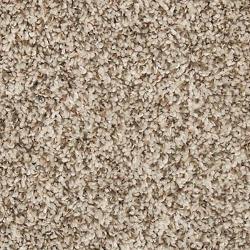 Renovate I in Elk Beige Carpet
