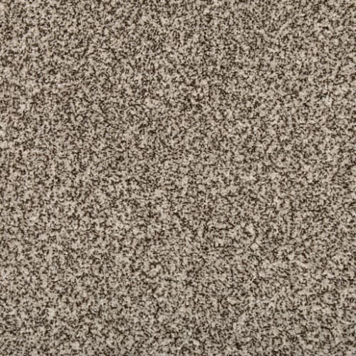 Renovate II in Quiet Light Carpet