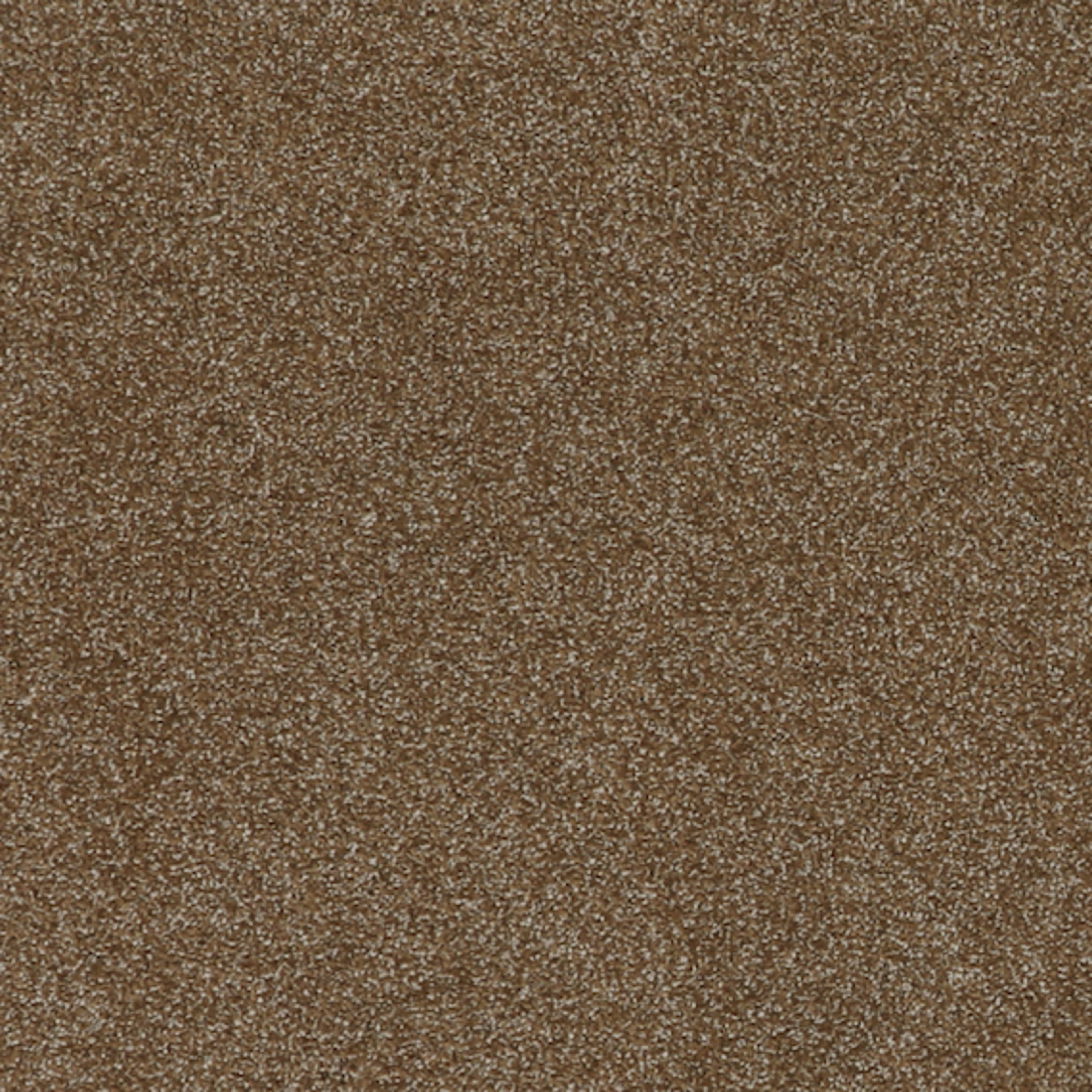 Gossamer Hues in Kona Carpet
