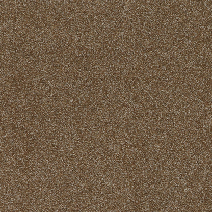 Gossamer Hues in Kona Carpet