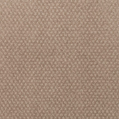 Greenwich Design in Cove Carpet