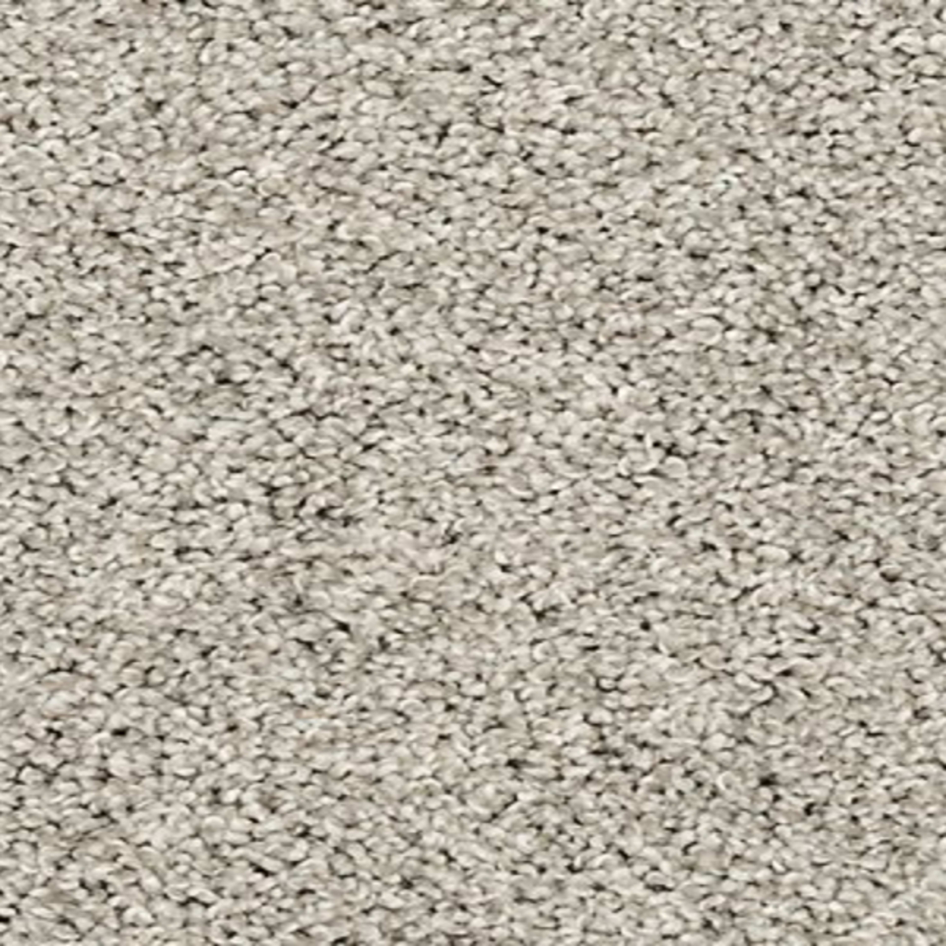 Pedigree II in Mercury Carpet