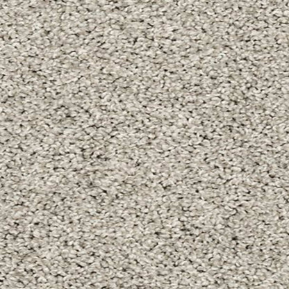 Pedigree II in Mercury Carpet