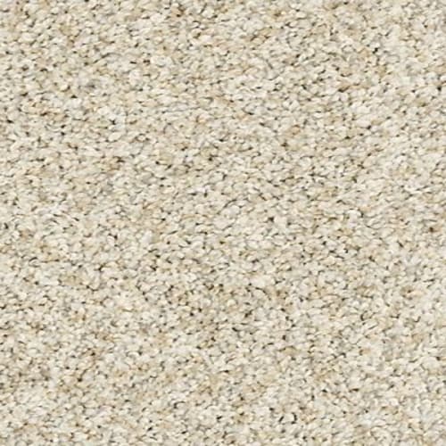 Claws And Effect I in London Fog Carpet