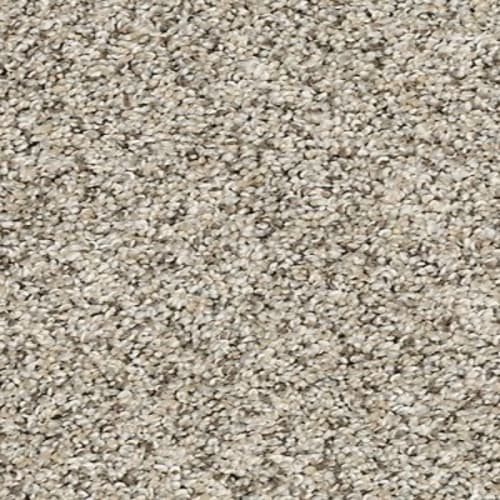 EFFECTS II in Oyster Carpet
