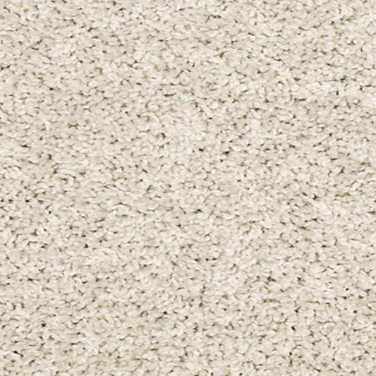 Personal Touch II in Haze Carpet