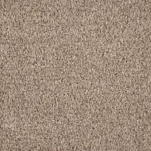 Luxuriant Surface in Scroll Carpet