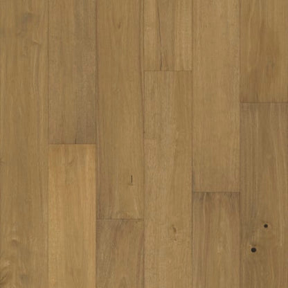 Pacific Pecan