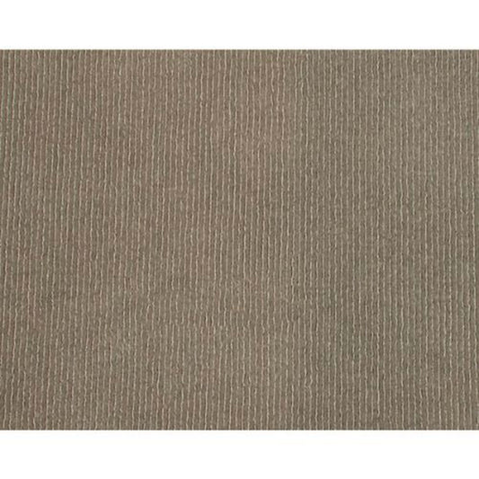 Solaris in Clay Carpet