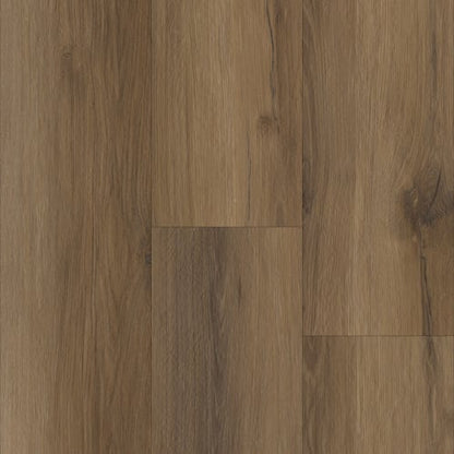Prime Pinnacle Collection