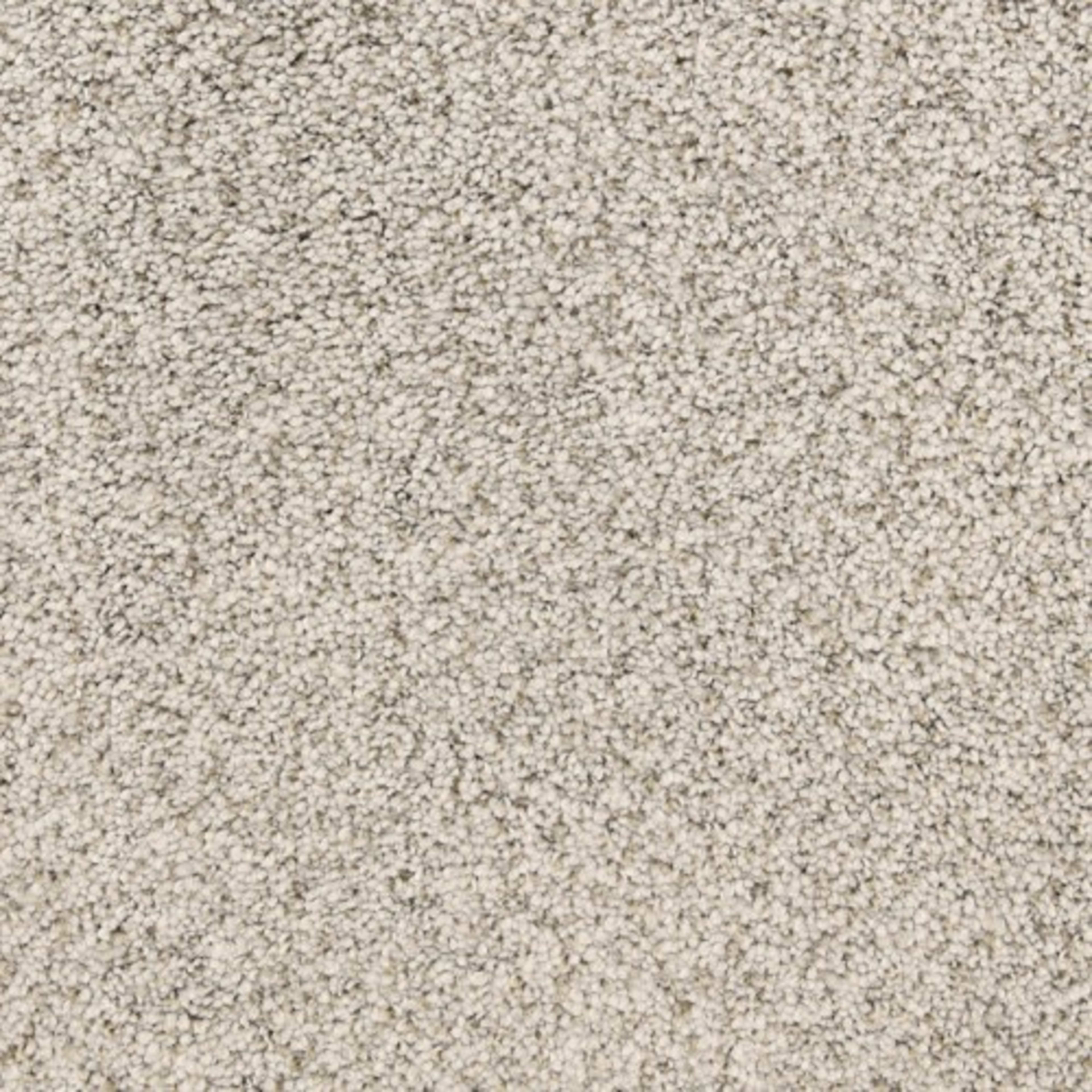 Pacific Grove in Cannery Row Carpet