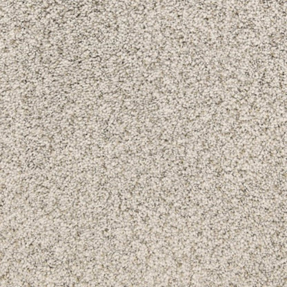 Pacific Grove in Cannery Row Carpet