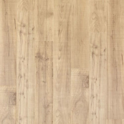 Ellenwood in Maple Sapling