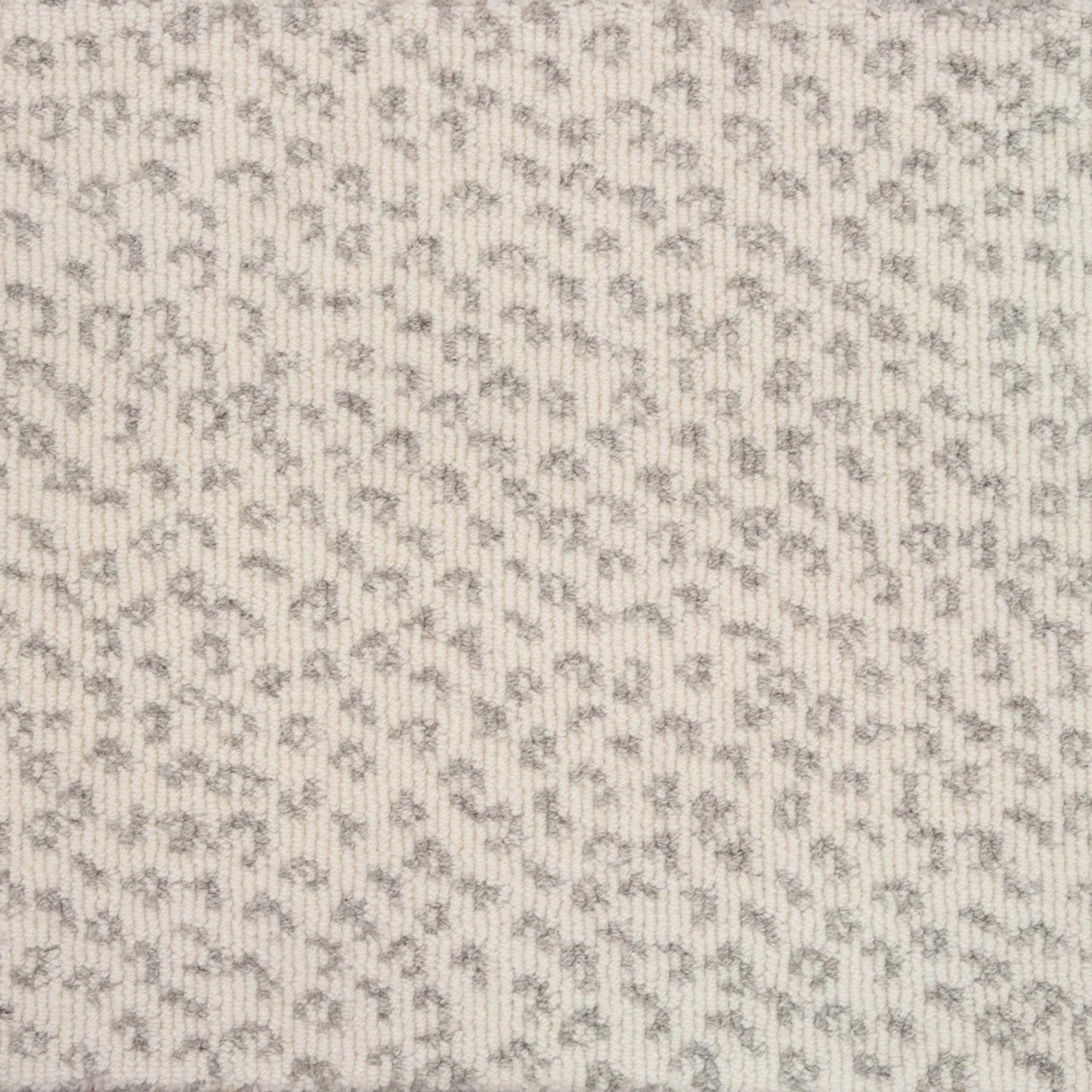 Pantera in Ivory Carpet