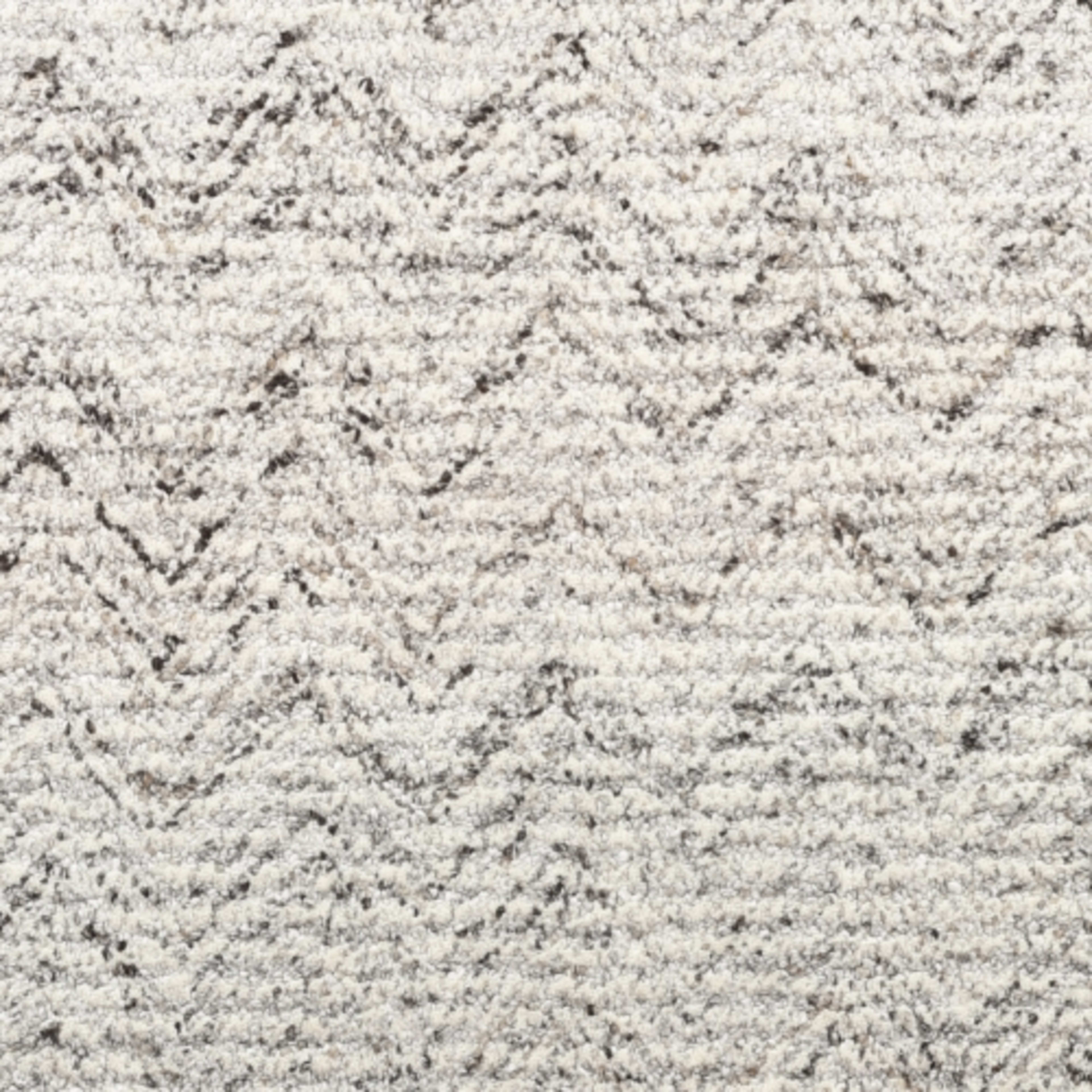 Premium in Paramount Carpet