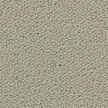 Allure in Khaki Carpet