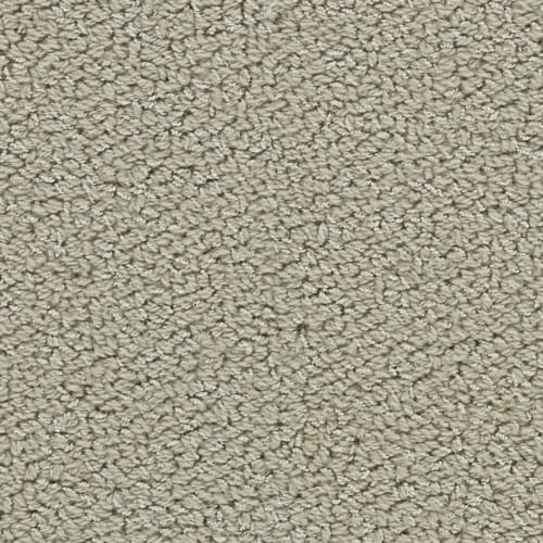 Allure in Khaki Carpet