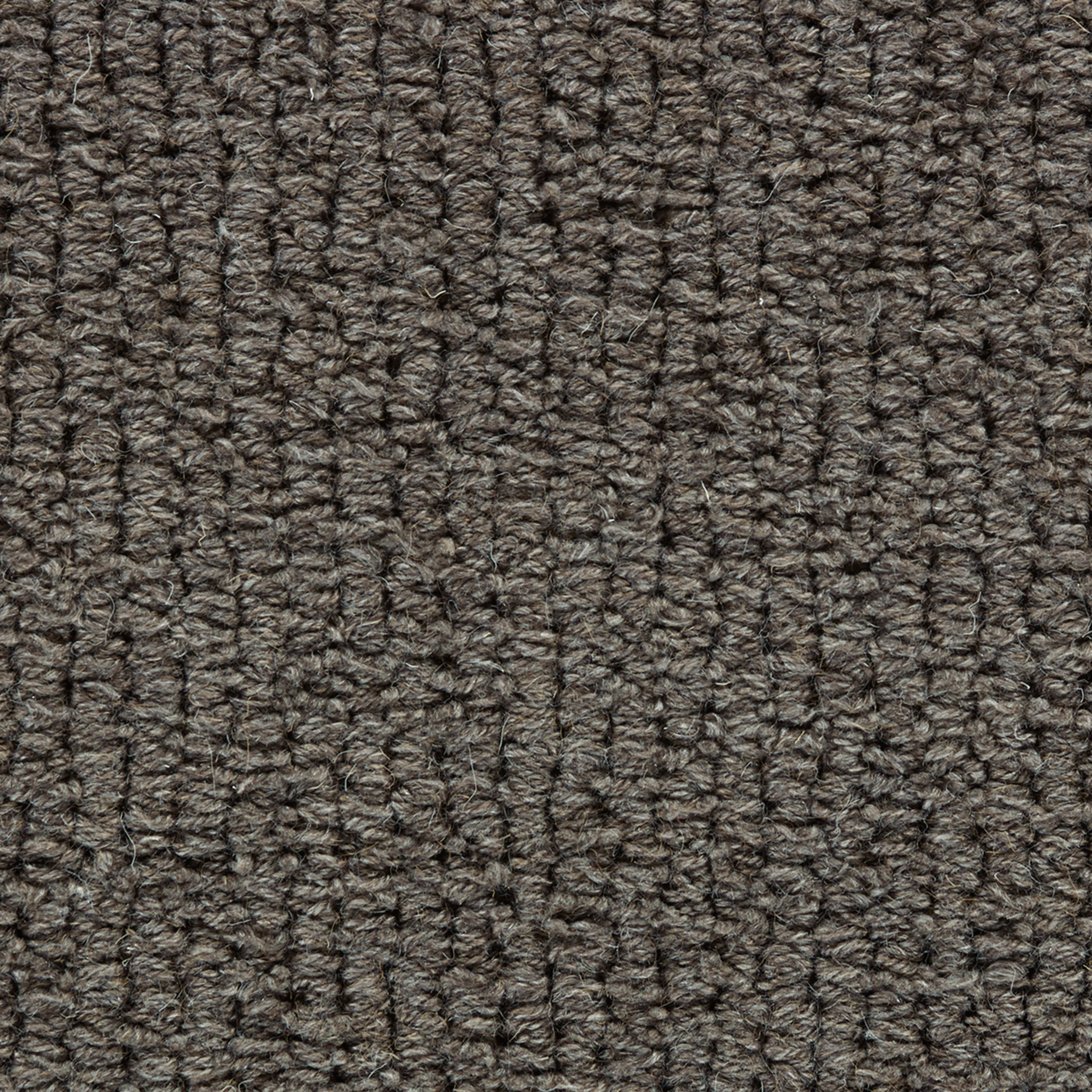 Laredo Corde in Dark Brown Carpet