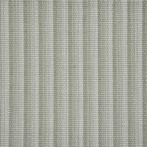 Radiant Stripe in Agave Carpet