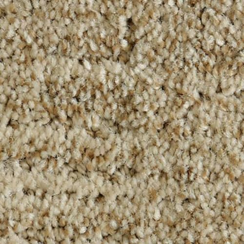 Random Nature in Organic Carpet