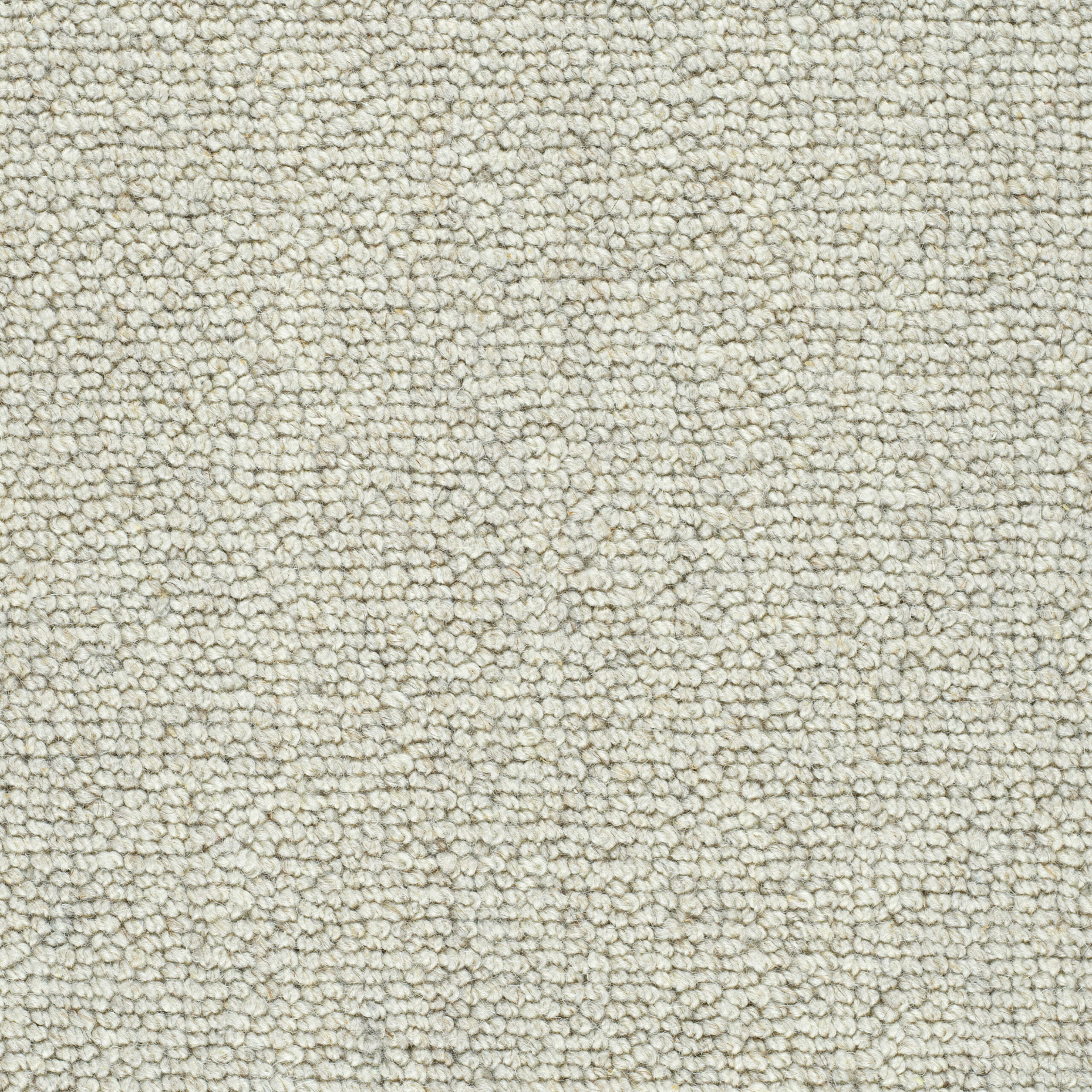 Vail ll in Woodlawn Carpet