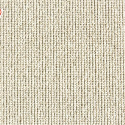 Rogue in Bisque Carpet