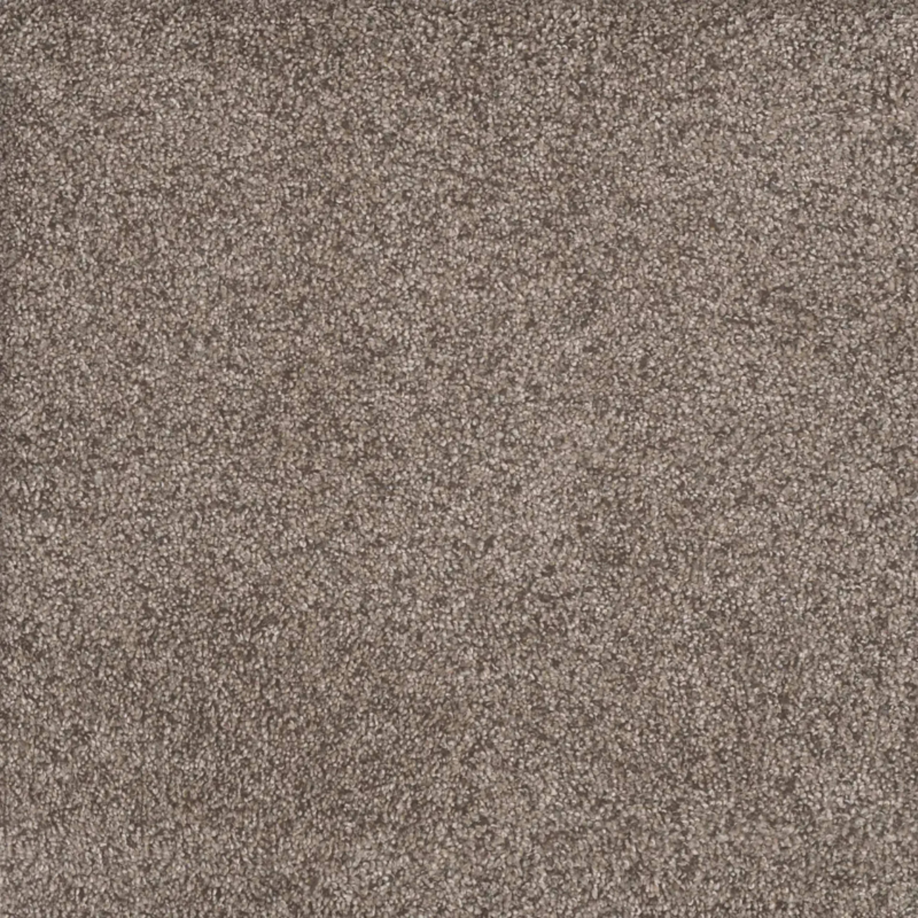 Rustic Retreat II in Clay Pot Carpet