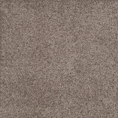Rustic Retreat II in Clay Pot Carpet