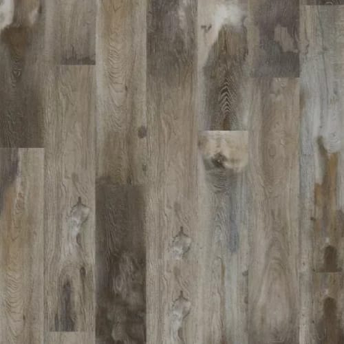 Explorer's Cove in Raccoon Luxury Vinyl