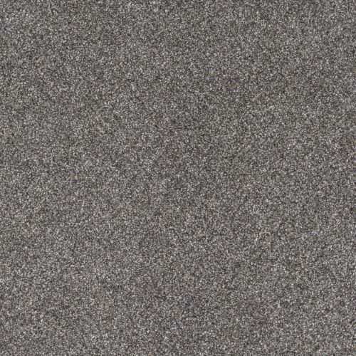 Gold Standard I in Reserve Carpet